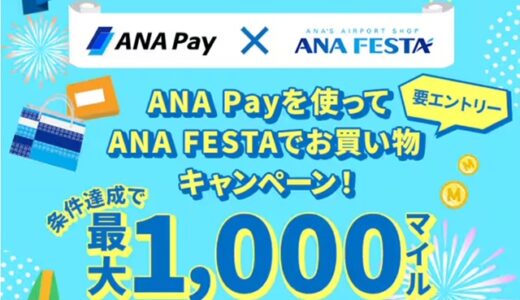 夏に使えるANA Payキャンペーンでお得に旅行する。