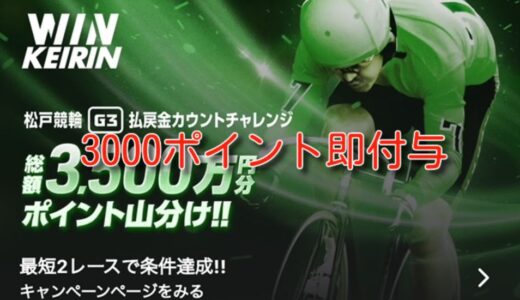 3000ポイント即付与！winチケットをやってみた。