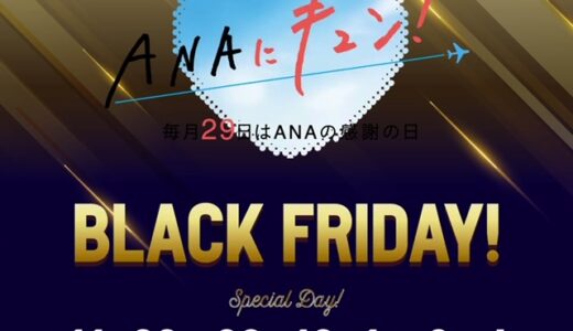 ANAブラックフライデーが強烈！減額マイル、プレミアムクラスと年末年始のセールで3日開催！